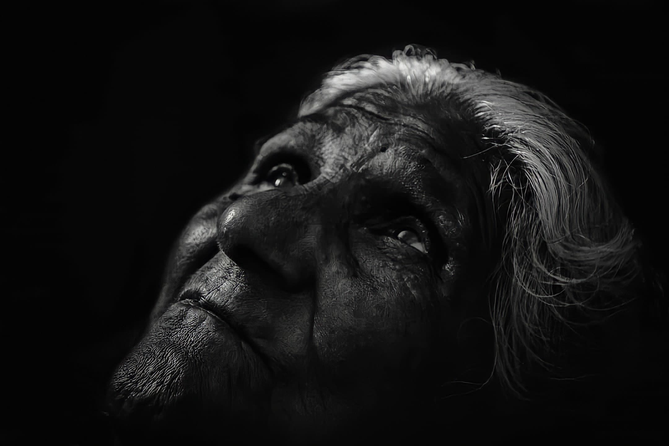 Beyond the vision